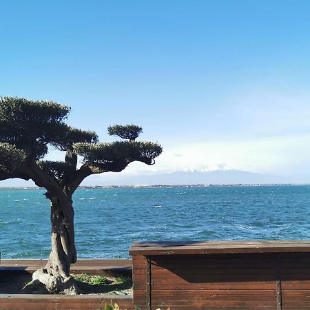 Appartement Cosy Sur La Presqu'Ile De Cap Coudalere Avec Piscine Ouverte Et Chauffee Ле Баркарес Экстерьер фото